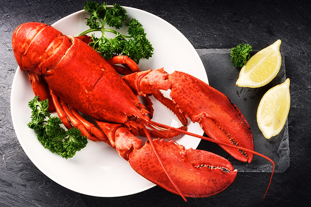 Buy 6 lb. Live Jumbo Lobster | Lobster Trap: Live Lobster Online