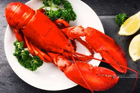 Live Jumbo Lobster
