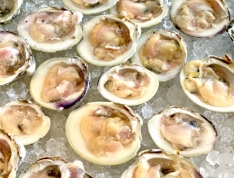 Three Dozen Local Littleneck Clams (36)