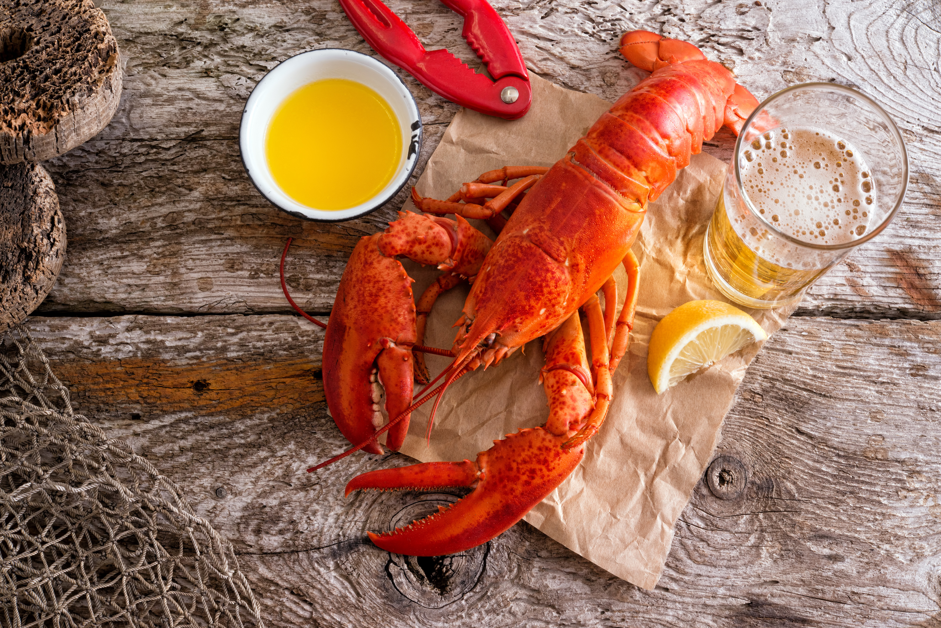 Order 1 Lb Fresh Live Maine Lobster Lobsters Online Owned 