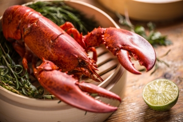 Order Fresh Live Maine Lobster | Lobster Trap: Live Lobster Online