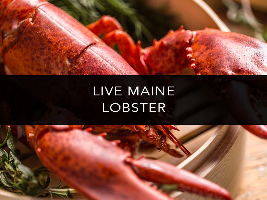 Lobsters Online: Owned & Operated by the Lobster Trap Co, Inc.